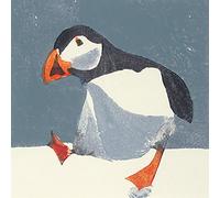 The Art Group Julia Burns (Puffin) -Canvas Print 60 x 60cm, Wood, Multicolour, 60 x 60 x 1.3 cm