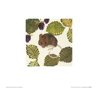 The Art Group Julia Burns (Wood Mouse) -Art Print 30 x 30cm, Paper, Multicoloured, 30 x 30 x 1.3 cm