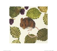 The Art Group Julia Burns (Wood Mouse) -Art Print 40 x 40cm, Paper, Multicoloured, 40 x 40 x 1.3 cm