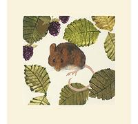 The Art Group Julia Burns (Wood Mouse) -Mounted Print 40 x 40cm, Paper, Multicoloured, 40 x 40 x 1.3 cm