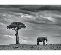 The Art Group "Land of Giants Mario Moreno Canvas Print, Multi-Colour, 60 x 80 x 1.3 cm