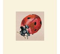 The Art Group Lily Greenwood (Ladybird) Mounted Print, Paper, Multi-Colour, 30 x 30 x 1.3 cm
