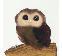 The Art Group "Little Owl Julia Burns Canvas Print, Multi-Colour, 60 x 60 x 1.3 cm