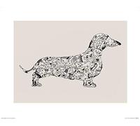 The Art Group Louise Tate (Dachshund) -Art Print 40 x 50cm, Paper, Multicoloured, 40 x 50 x 1.3 cm