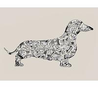 The Art Group "Louise Tate Dachshund Canvas Print, Cotton, Multi-Colour, 1.80 x 30.00 x 40.00 cm
