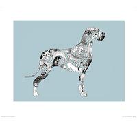 The Art Group Louise Tate (Dane) -Art Print 40 x 50cm, Paper, Multicoloured, 40 x 50 x 1.3 cm