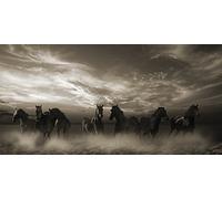 The Art Group Malcolm Sanders Canvas Print, Multi-Colour, 50 x 100 x 1.3 cm