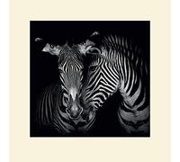 The Art Group Marina Cano Secrets Mounted Print, Multi-Colour, 40 x 40 x 1.3 cm