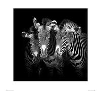 The Art Group Marina Cano (Shades of Grevy) -Art Print 60 x 60cm, Paper, Multicoloured, 60 x 60 x 1.3 cm