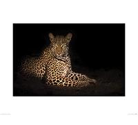 The Art Group "Mario Moreno Beauty in The Night Paper Art Print, Multi-Colour, 60 x 80 x 1.3 cm