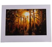 The Art Group "Mario Moreno Enchanted Paper Art Print, Multi-Colour, 60 x 80 x 1.3 cm