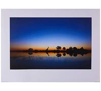 The Art Group "Mario Moreno Okavango Paper Art Print, Multi-Colour, 60 x 80 x 1.3 cm