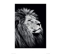 The Art Group Nicolas Evariste (Majesty) -Art Print 50 x 70cm, Paper, Multicoloured, 50 x 70 x 1.3 cm