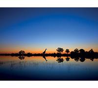 The Art Group "Okavango Mario Moreno Canvas Print, Multi-Colour, 60 x 80 x 1.3 cm