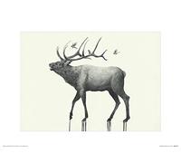 The Art Group Oliver Flores (Calling Elk) -Art Print 30 x 40cm, Paper, Multicoloured, 30 x 40 x 1.3 cm