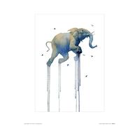 The Art Group Oliver Flores (Journey 1 Elephant) -Art Print 30 x 40cm, Paper, Multicoloured, 30 x 40 x 1.3 cm