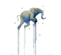 The Art Group Oliver Flores (Journey 1 Elephant) -Art Print 60 x 80cm, Paper, Multicoloured, 60 x 80 x 1.3 cm