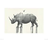 The Art Group Oliver Flores (Majestic Rhinoceros) -Art Print 60 x 80cm, Paper, Multicoloured, 60 x 80 x 1.3 cm
