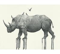 The Art Group Oliver Flores (Majestic Rhinoceros) -Canvas Print 30 x 40cm, Wood, Multicolour, 30 x 40 x 1.3 cm