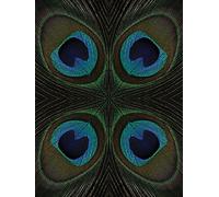 The Art Group "Peacock Feather Quartette Alyson Fennell Canvas Print, Multi-Colour, 60 x 80 x 1.3 cm