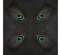 The Art Group "Peacock Feather Star Alyson Fennell Canvas Print, Multi-Colour, 60 x 60 x 1.3 cm