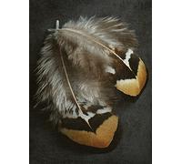 The Art Group "Pheasant Feather Duo Alyson Fennell Canvas Print, Multi-Colour, 60 x 80 x 1.3 cm