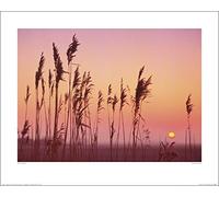 The Art Group "Rod Edwards Fenland Sunrise Paper Art Print, Multi-Colour, 40 x 50 x 1.3 cm