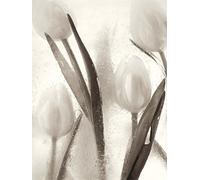 The Art Group "Ryuijie Douglas Ice Form 7 Digital Canvas Print, Multi-Colour, 1.80 x 30.00 x 40.00 cm