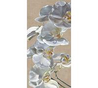 The Art Group Sarah Caswell Canvas Print, Multi-Colour, 50 x 100 x 1.3 cm