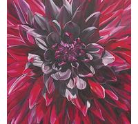 The Art Group Sarah Caswell (Fabulous Black Wizard Dahlia) -Canvas Print 85 x 85cm, Wood, Multi-Colour, 85 x 85 x 1.3 cm
