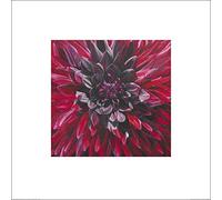 The Art Group "Sarah Caswell Fabulous Black Wizard Dahlia Paper Art Print, Multi-Colour, 60 x 60 x 1.3 cm