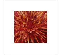 The Art Group "Sarah Caswell Fabulous Orange Dahlia Paper Art Print, Multi-Colour, 60 x 60 x 1.3 cm