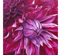The Art Group Sarah Caswell (Fabulous Pink Dahlias) Canvas Print, Wood, Multi-Colour, 85 x 85 x 1.3 cm