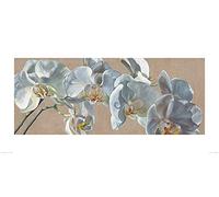 The Art Group "Sarah Caswell White Hats Paper Art Print, Multi-Colour, 50 x 100 x 1.3 cm