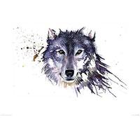 The Art Group Sarah Stokes (Snow Wolf) -Art Print 60 x 80cm, Paper, Multicoloured, 60 x 80 x 1.3 cm