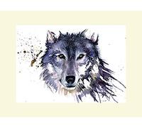 The Art Group Sarah Stokes Snow Wolf Mounted Print, Multi-Colour, 30 x 40 x 1.3 cm