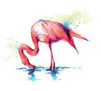 The Art Group "Sarah Stokes Tranquillity Canvas Print, Cotton, Multi-Colour, 1.80 x 30.00 x 40.00 cm