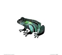 The Art Group "Sofie Rolfsdotter Le Frog Paper Art Print, Multi-Colour, 30 x 30 x 1.3 cm