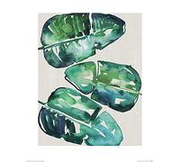 The Art Group Summer Thornton (Banana Leaves) -Art Print 40 x 50cm, Paper, Multicoloured, 40 x 50 x 1.3 cm