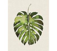 The Art Group "Summer Thornton Tropical Leaf I Canvas Print, Multi-Colour, 40 x 50 x 1.3 cm