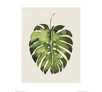 The Art Group "Summer Thornton Tropical Leaf I Paper Art Print, Multi-Colour, 40 x 50 x 1.3 cm