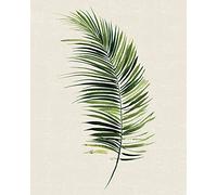 The Art Group "Summer Thornton Tropical Leaf II Canvas Print, Multi-Colour, 40 x 50 x 1.3 cm