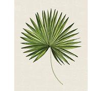 The Art Group "Summer Thornton Tropical Leaf III Canvas Print, Multi-Colour, 40 x 50 x 1.3 cm