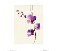 The Art Group "Velvet Orchid Summer Thornton Art Print, Multi-Colour, 40 x 50 x 1.3 cm