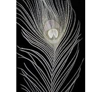 The Art Group "White Peacock Feather Alyson Fennell Canvas Print, Multi-Colour, 60 x 80 x 1.3 cm