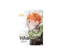 The Art of Haikyu!! : Endings and Beginnings