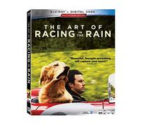 The Art of Racing in the Rain