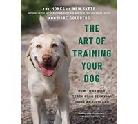 The Art of Training Your Dog: How to Gently Teach Good Behavior Using an E-Collar