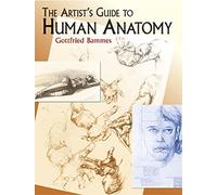 The Artist's Guide to Human Anatomy (Dover Anatomy for Artists)