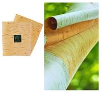 The Atharva-Veda Bhojpatra Original Sheets (XL Size 25 * 18 cm, Set of 2) - White Rectangular Paper for Spiritual and Religious Purposes